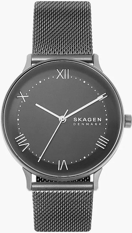 Watch Skagen