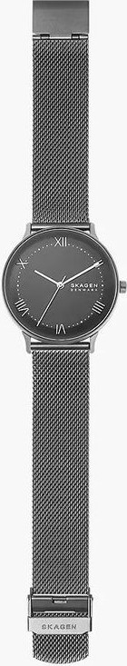 Watch Skagen