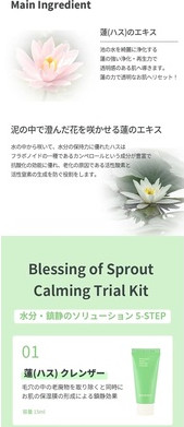 Hayejin Blessing of Sprout Pflegeset für das Gesicht