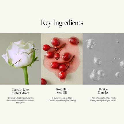 Hair Ampoule Treatment Anillo Rosy Night Repair