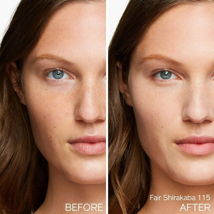 Tinted Day Cream Shiseido Synchro Skin Self Refreshing Tint