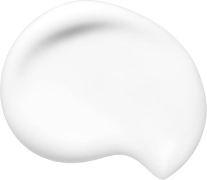 Primer Shiseido Synchro Skin Soft Blurring Primer