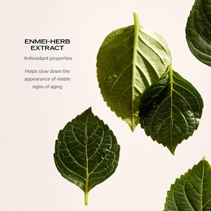 Hydrating Mask Shiseido Moisturizing and Rejuvenating Face Mask