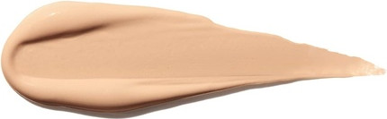 Concealer Shiseido Self-Refreshing Concealer