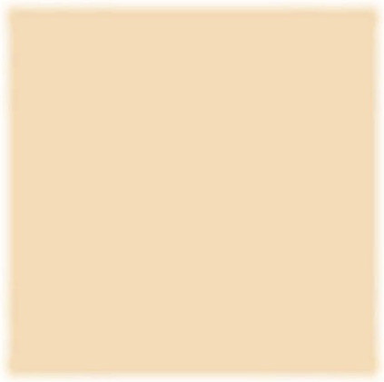 Givenchy Foundation
