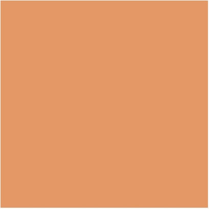 Powder Foundation Shiseido Synchro Skin Self-Refreshing Custom Finish Powder Foundation