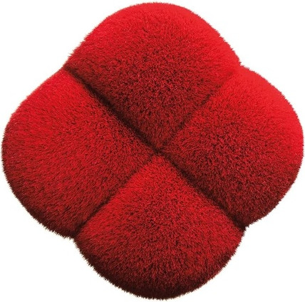 Facial Cleansing Brush Shiseido Hanatsubaki Hake Polishing