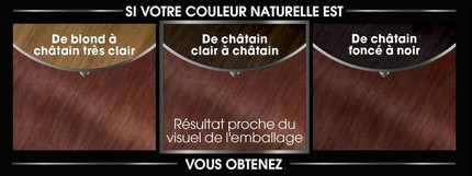 Hair Dye Garnier Olia