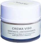 Moisturizing And Antioxidant Face Cream NUXE