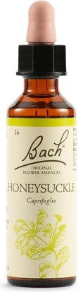 Bach-Blütenessenz Gelsträucher Schwabe Pharma