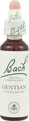 Туалетная вода Schwabe Pharma Gentian Bach Original