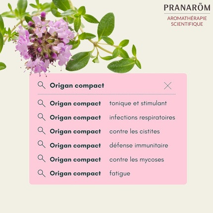 Эфирное масло орегано Pranarom с компактными соцветиями