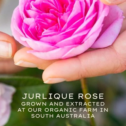 Gel Cream Jurlique Moisture Plus Rare Rose