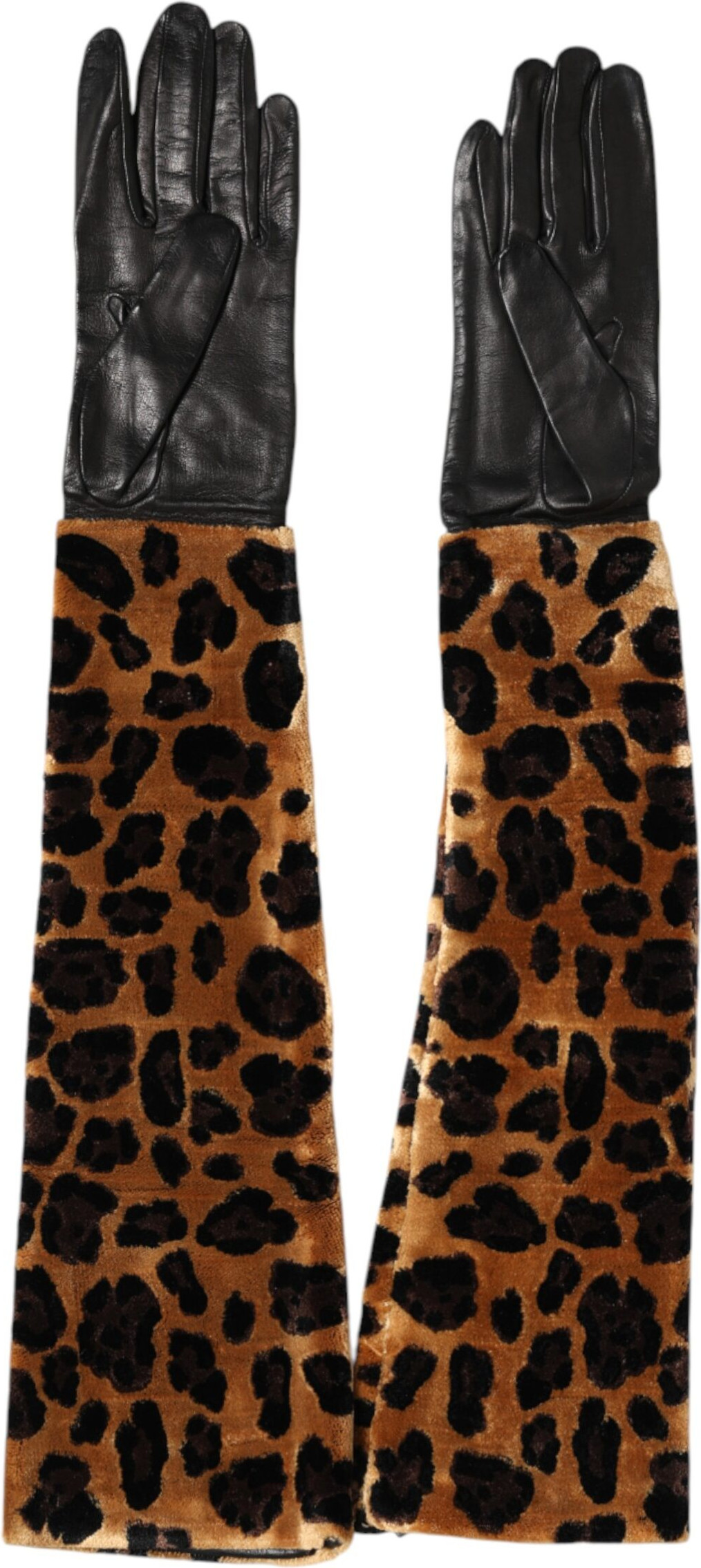 Gloves Dolce & Gabbana