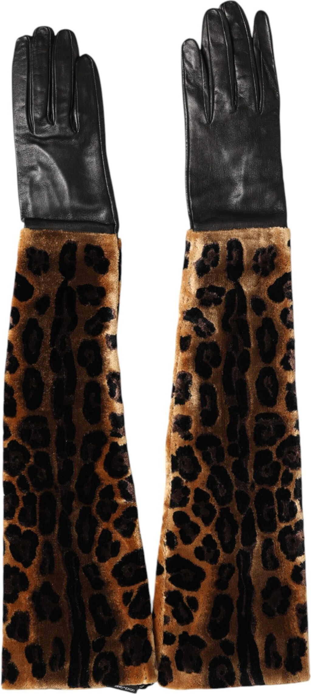 Handschuhe Dolce & Gabbana