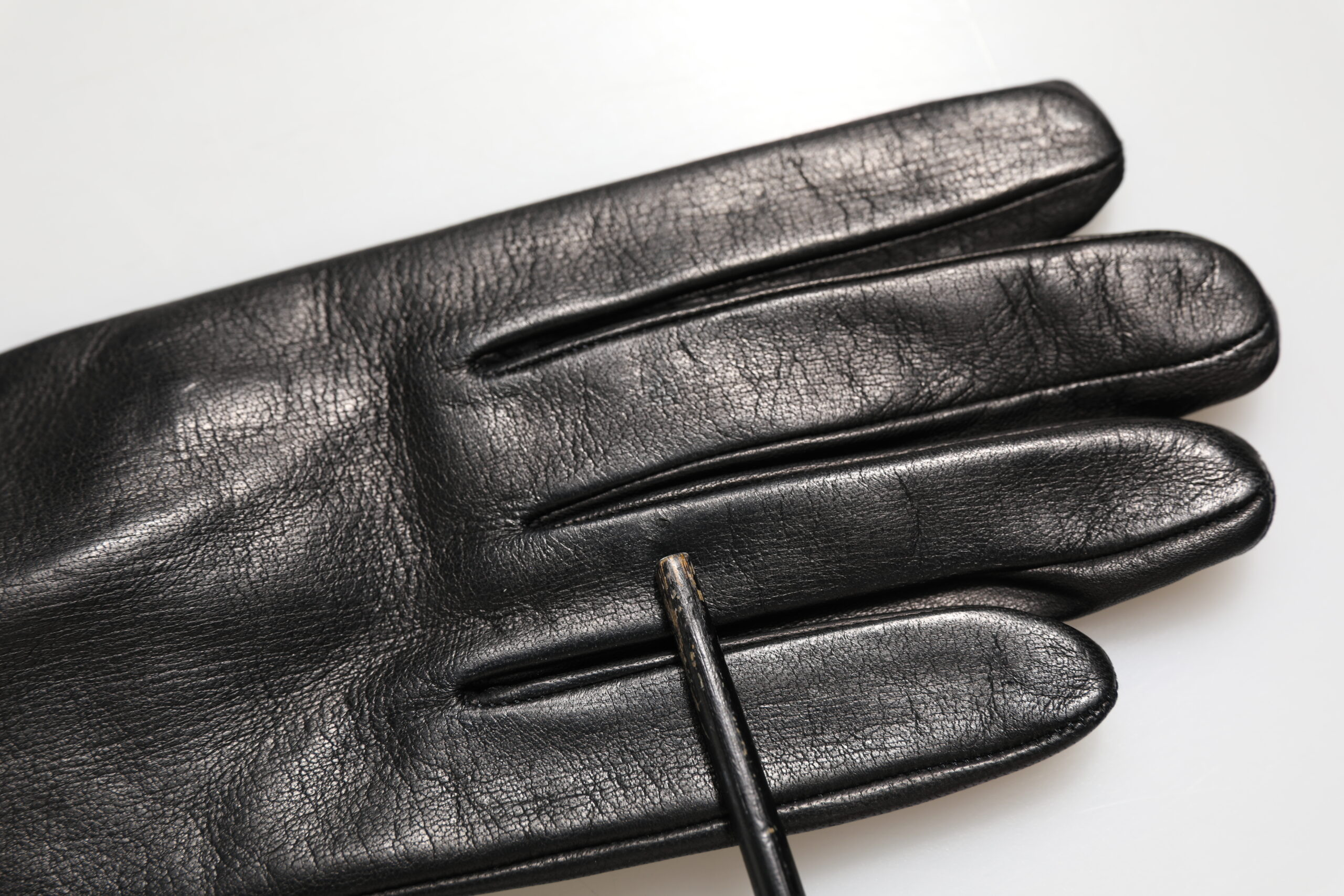 Long Mitten Gloves Dolce & Gabbana