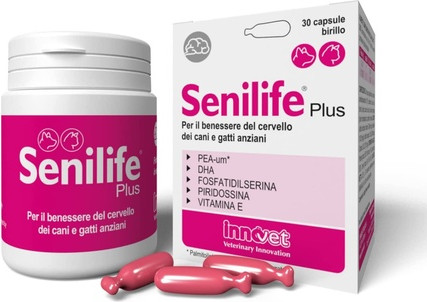 Vitamin Serum Innovet
