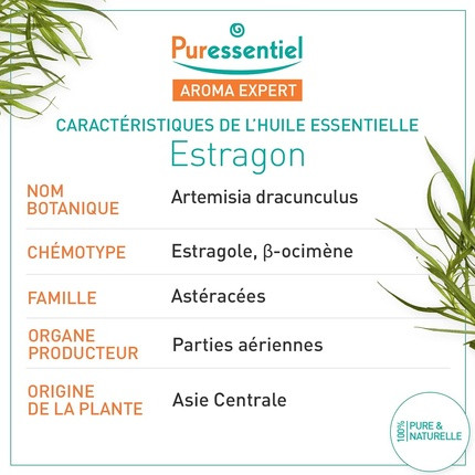 Ätherisches Öl Puressentiel Estragon