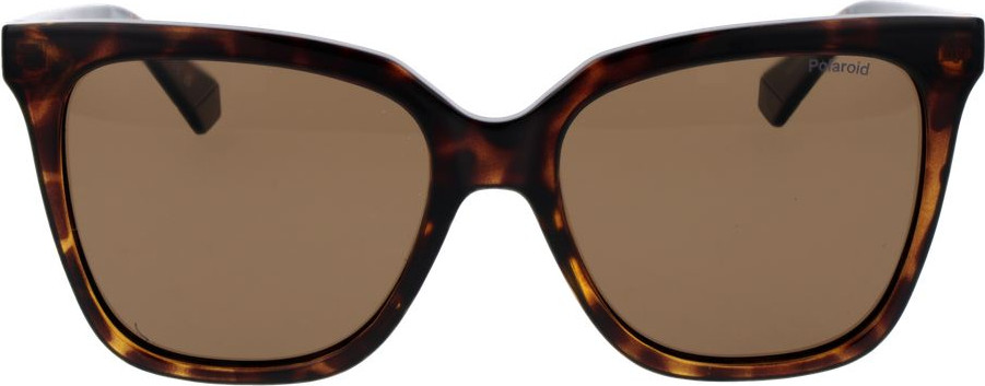 Sunglasses Polaroid