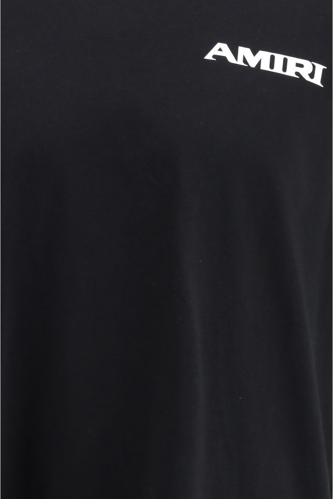 Спортивная футболка Amiri