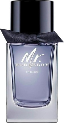 Burberry Mr. Burberry Indigo Eau de Toilette