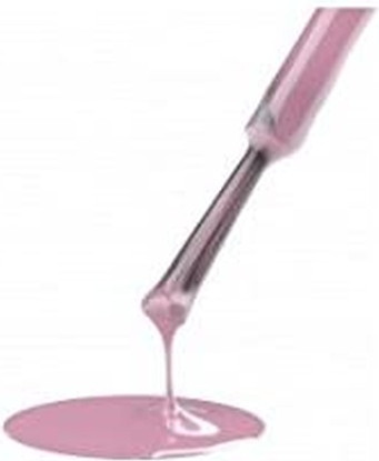 Gel Nail Polish Estrosa
