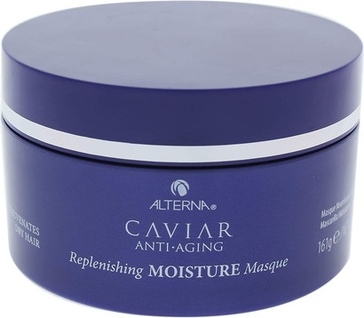Replenishing Moisture Treatment Hair Masque Alterna