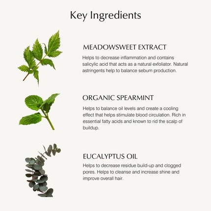 Shampoo John Masters Organics