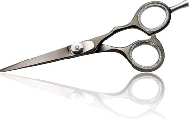 Cutting Scissors Beauty360