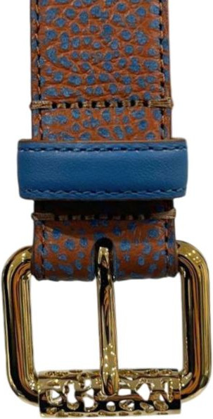 Belt Borbonese