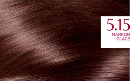 Hair Color L'Oreal Professional Excellence Chestnut Brown Triple Care 5.15 Marron Glacé