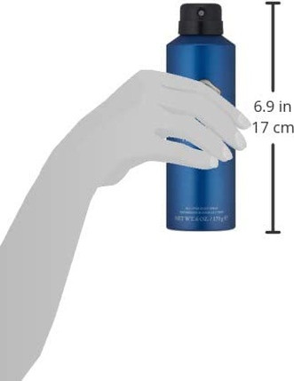 Vince Camuto Homme Body Spray