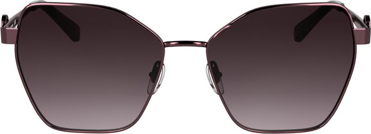 Sunglasses Longchamp