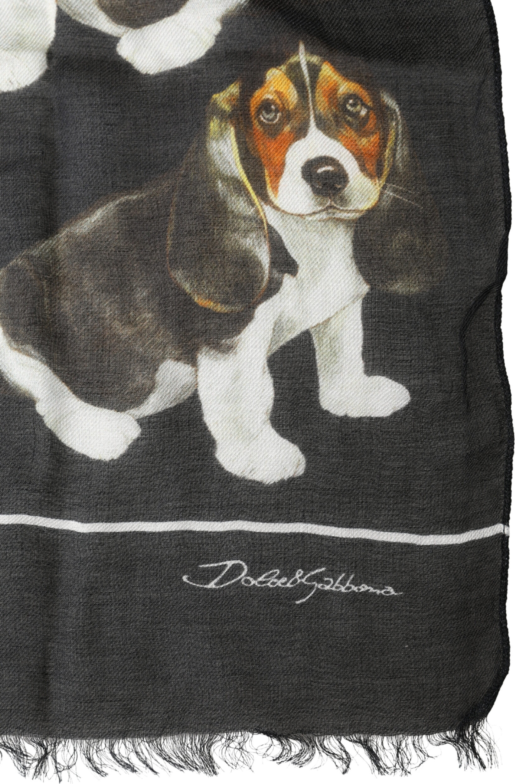 Scarf Dolce & Gabbana
