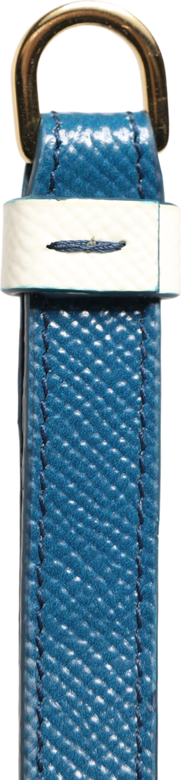Airpods case Dolce & Gabbana