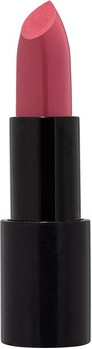 Lipstick Radiant Professional Matte Jam 205