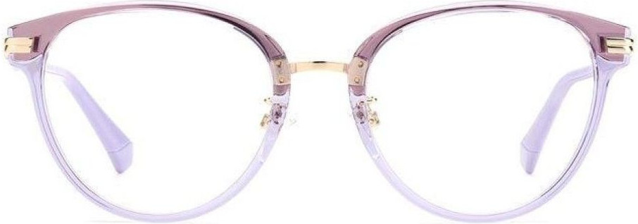Brille Polaroid