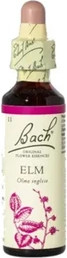 Schwabe Pharma Bach Flower Remedies Elm Oral Drops