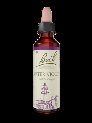 Wasserviole Bach Original