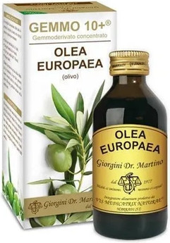 Dr Giorgini Gemmo 10 Olive Flüssigkeit