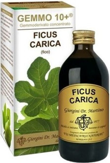 Dr. Giorgini Digestive Aid Supplement