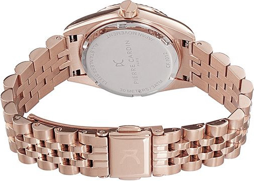 Watch Pierre Cardin
