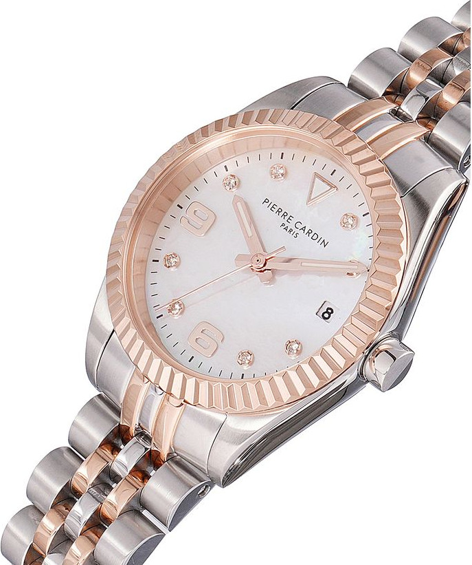 Watch Pierre Cardin
