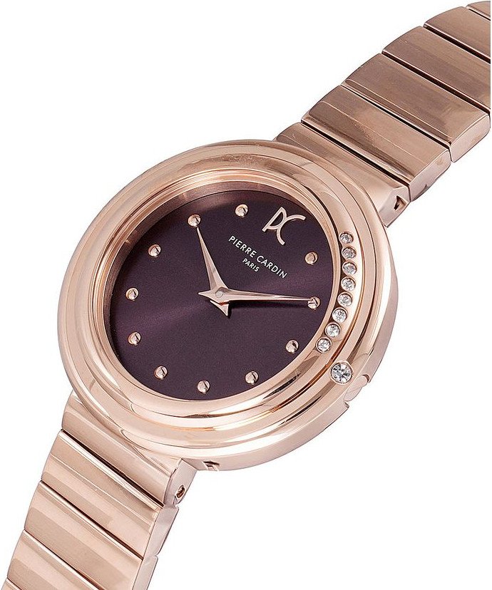 Watch Pierre Cardin