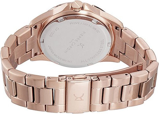 Pierre Cardin Analogical Watch