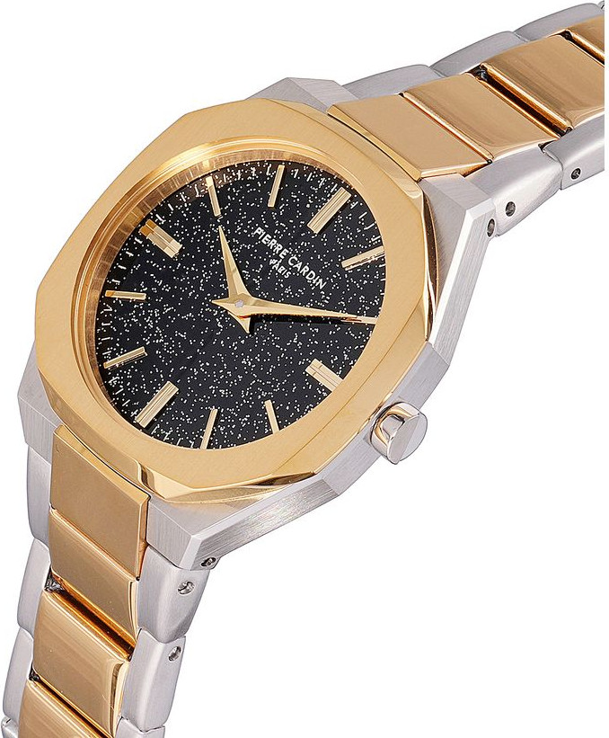 Pierre Cardin Watch