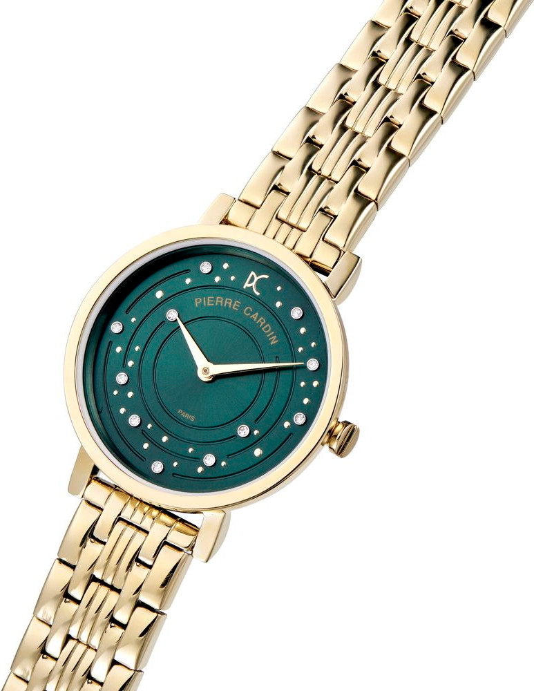 Watch Pierre Cardin