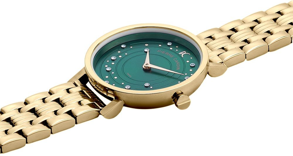 Watch Pierre Cardin