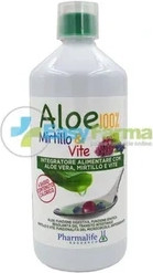 Aloe 100 Blueberry And Vine Pharmalife Research