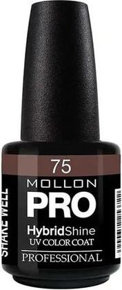 Hybrid Shine UV Color Coat Mollon Pro No 035 Bergenica